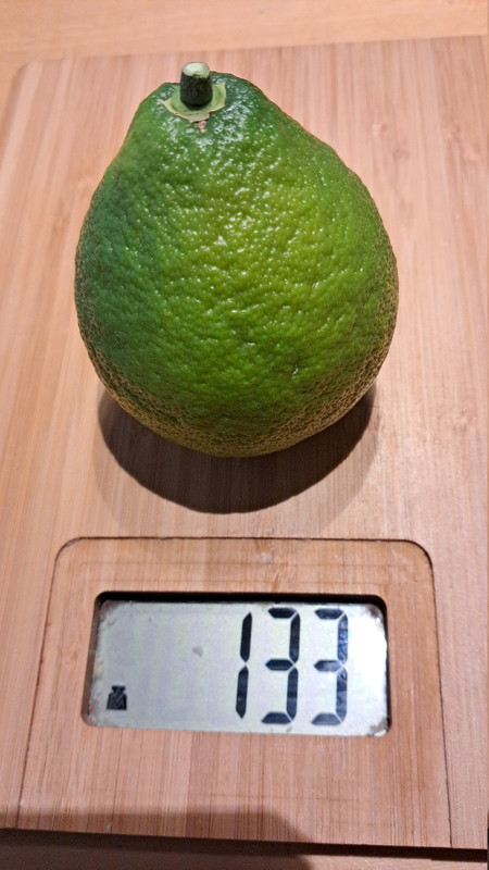 1 Bloomsweetfrucht ausgepfl 20251121 161018