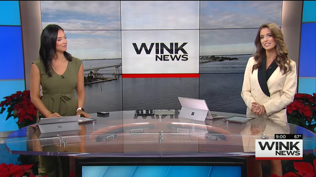12.12 - 14.00.00 - WINK News @ 9 00AM..ts_snapshot_01.43.796