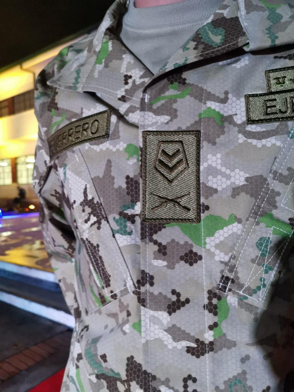 Proyecto Camaleón Bicentenario002