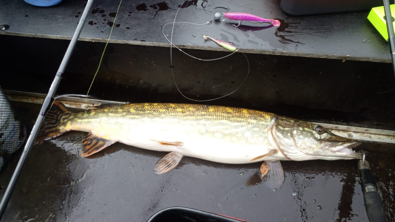 1 Геримантас Лилейка Каунасское отзыв джиг спиннинг рыбалка  бле