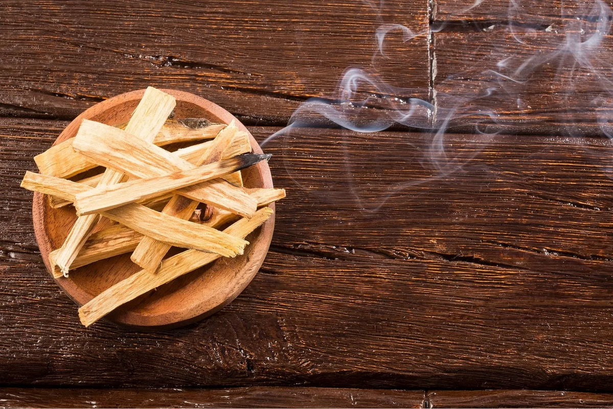 Palo Santo: ¿Qué es, para qué sirve y cómo utilizarlo?