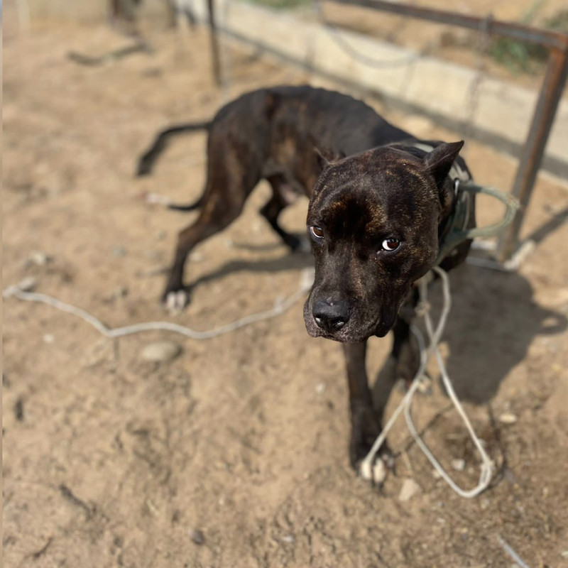 C4895FD0-2450-4B3B-92EB-0A4FADDA0ED6