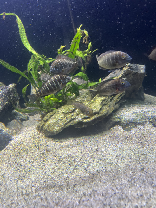 C59B7D9B-5BBF-48C2-90DF-3770EF894D72