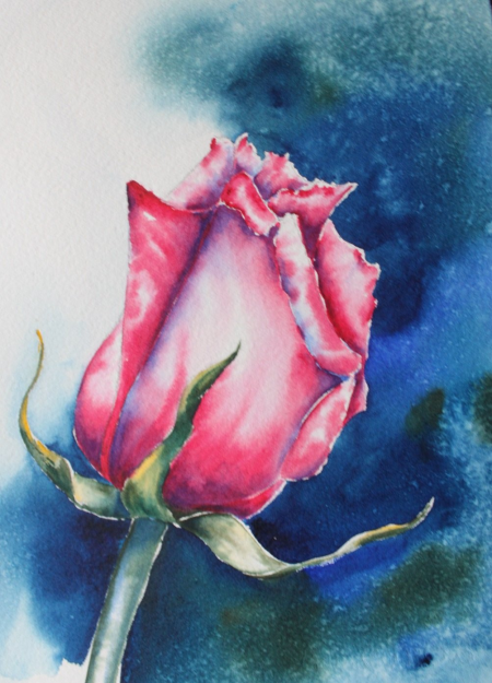 Experience Watercolours: Botanical Rosebud