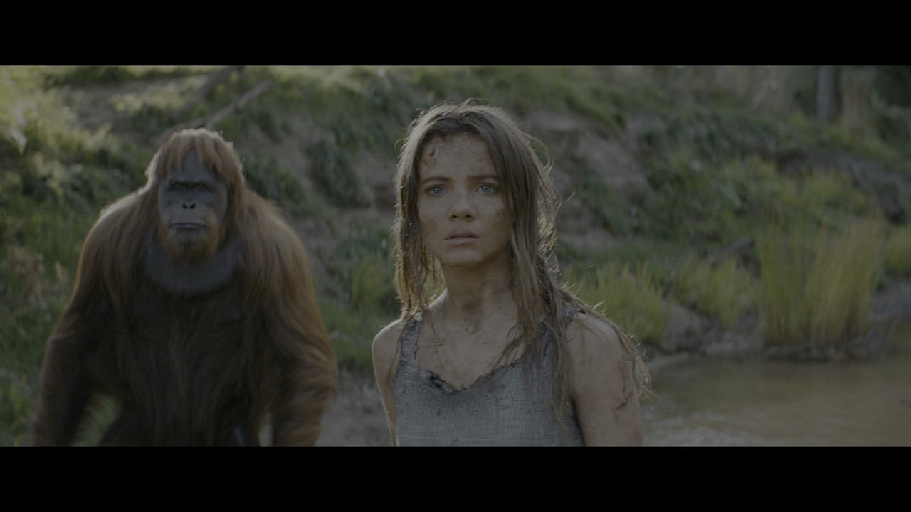 vlcsnap-2024-08-23-20h55m43s999