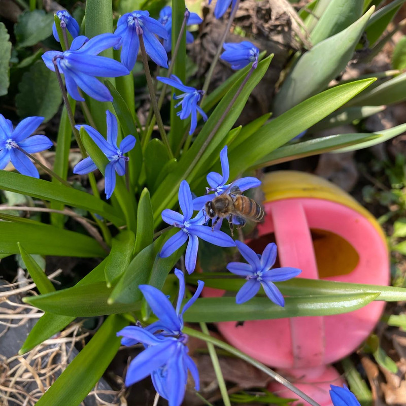 07697566-9C6D-4493-9F9E-F5EAB6C99D4A