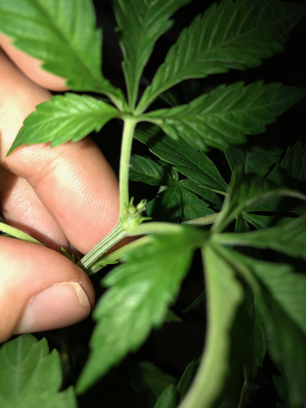 B0ADC0E5-6DD5-445D-9675-3EFC765D44AF