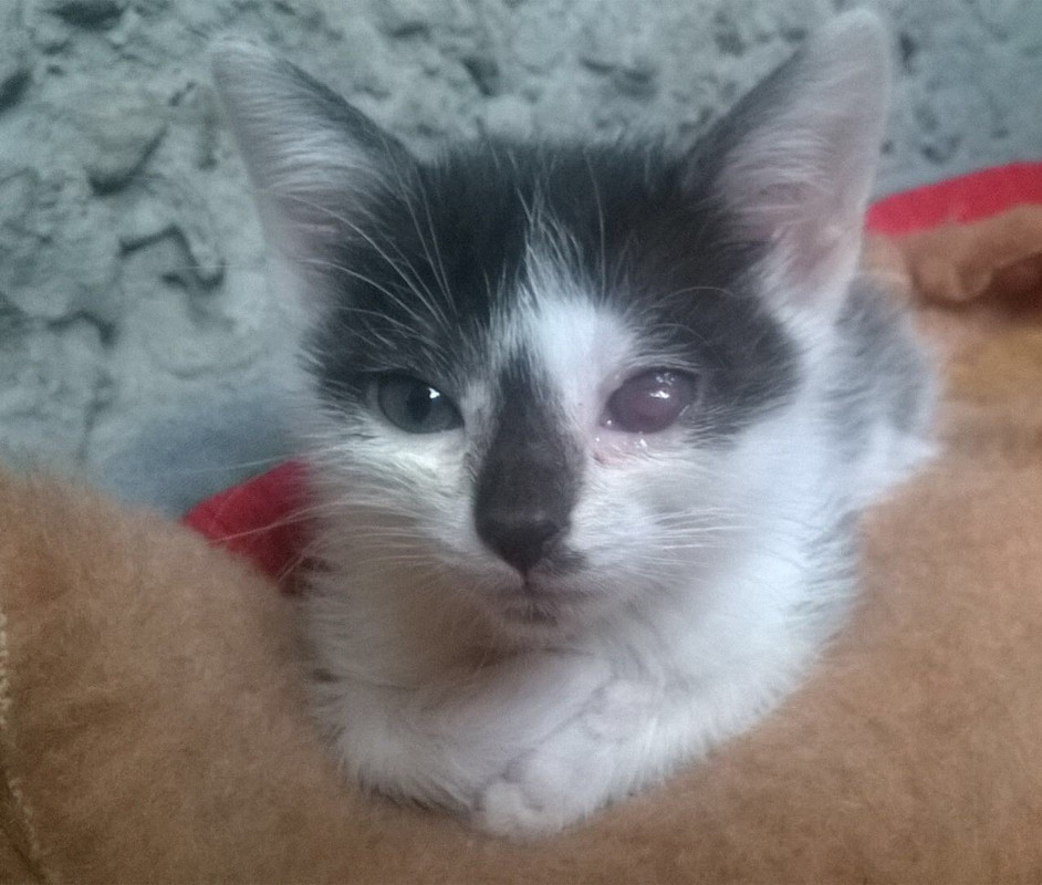 25C5996C-838B-4375-9C56-ABC949A268A6