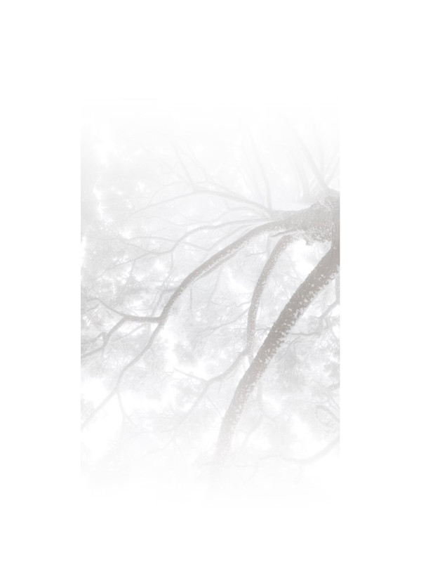 38c6fd99189c86b4acc27c7e620f58d1