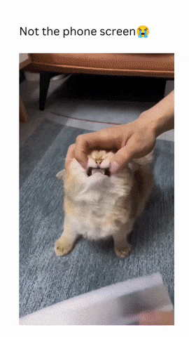 https://i.postimg.cc/856f5DVB/4.gif
