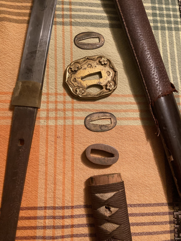 E162F987-CEA8-48B9-B635-178BB0E8C4DC