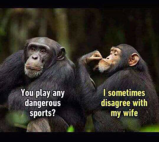 Dangerous_Sports_Disagree_My_Wife.jpg