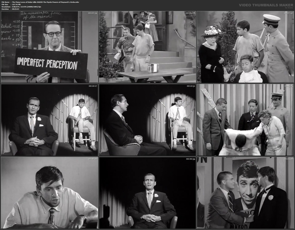 The Many Loves of Dobie Gillis S02E05 The Mystic Powers of Maynard G. Krebs.mkv