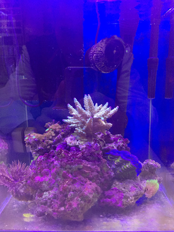 DD5C6BD6-F234-49C6-B2FB-1D79039EDBB0