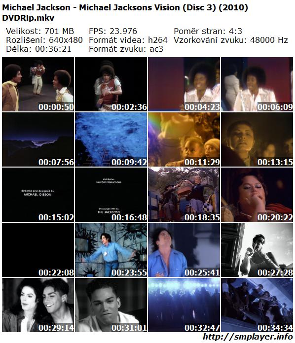 Michael Jackson - Michael Jacksons Vision (2010)
