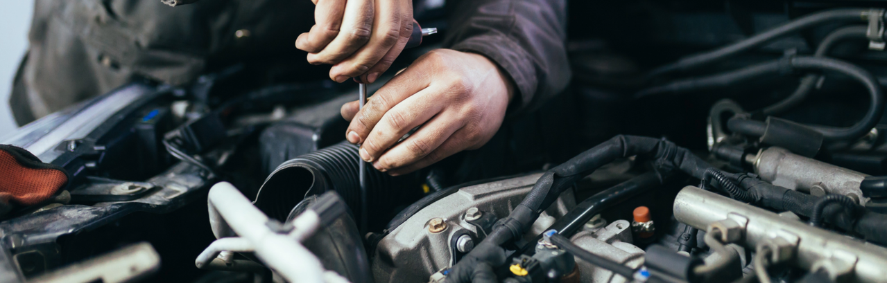 A Minnesotan’s Guide to Finding a Toyota Dealer You Can Trust