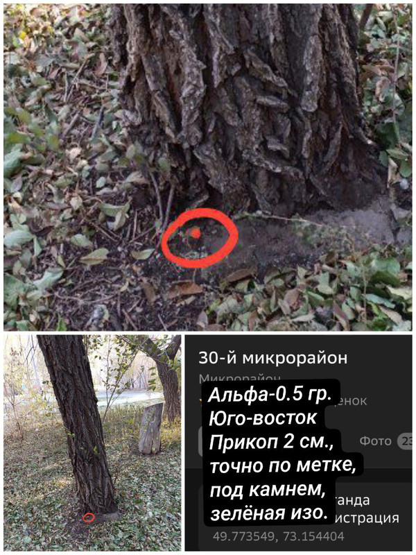 IMG_20251023_230218_730