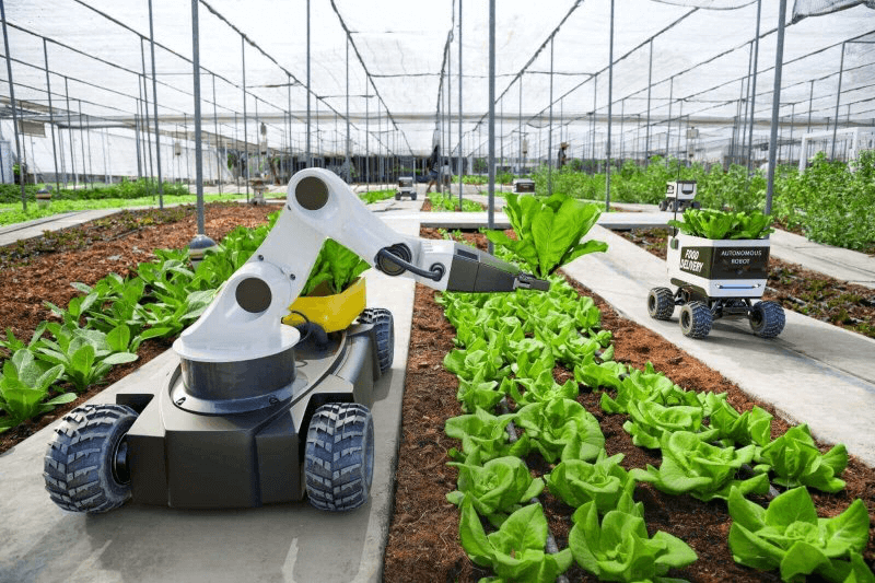 Why This Matters for Farmers