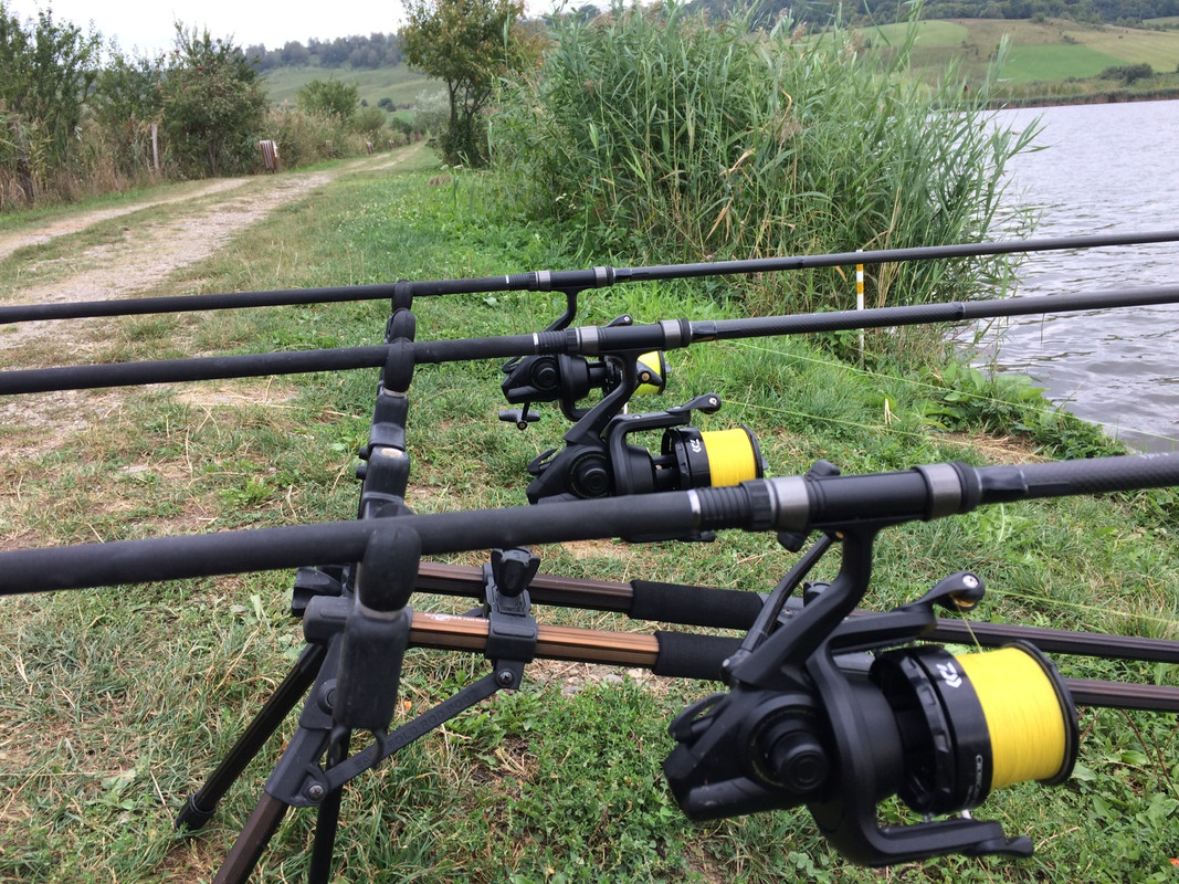 64DEFBCA-D943-4C11-9714-4272E4F3ABF6