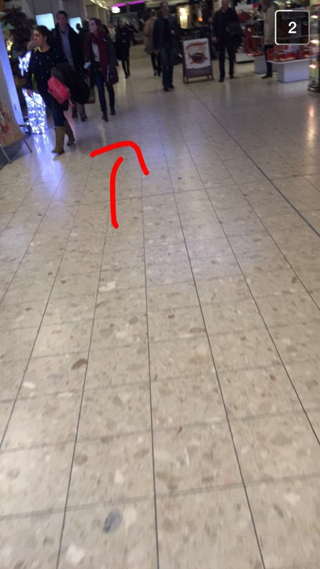 watsonuncensored.blogspot.com (1)