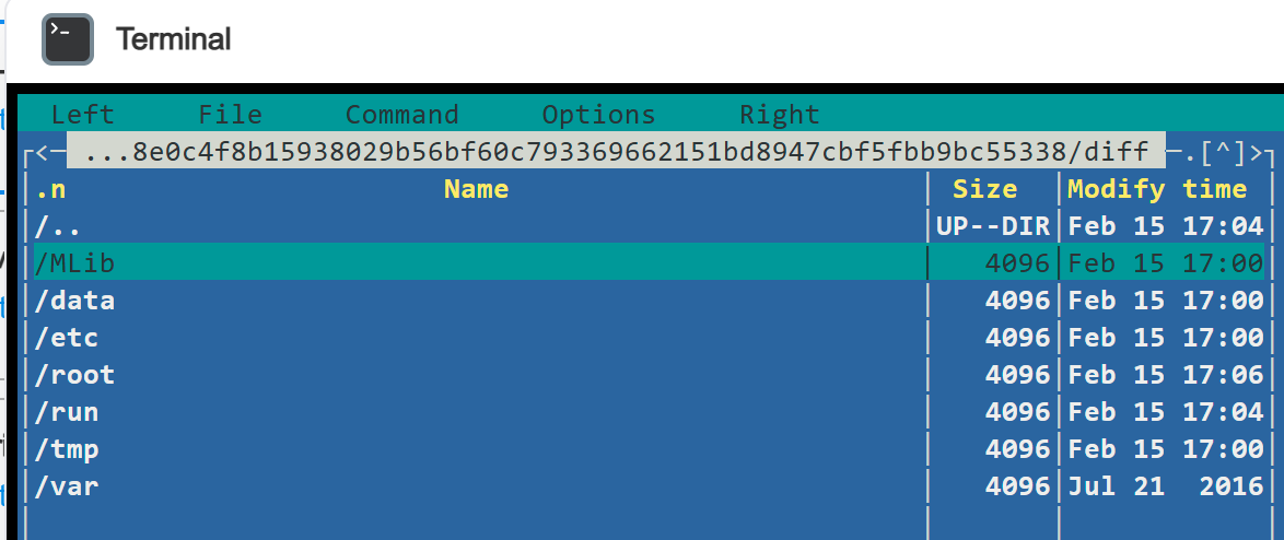 изображение 2026 02 15 171216842