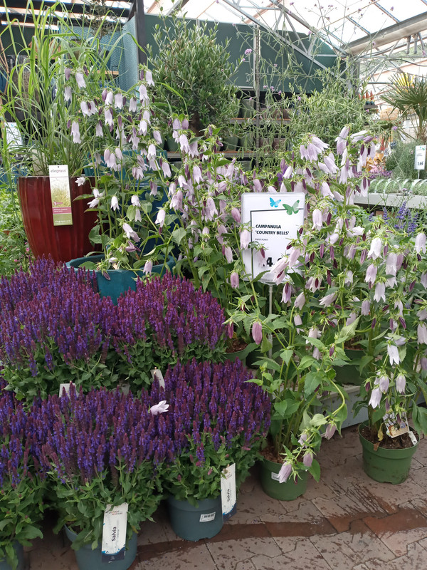 [Image: 20220531-164021.jpg]