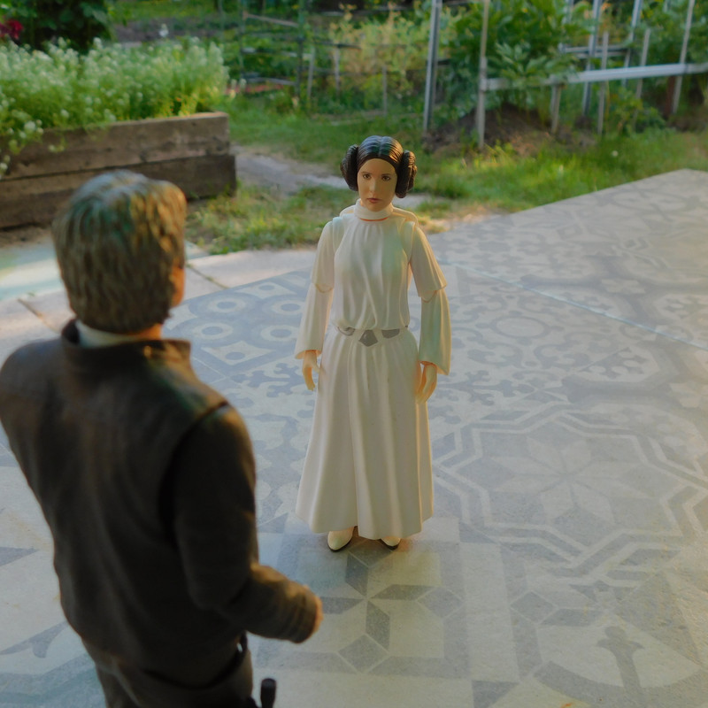 Дачно-Харлинский июнь-июль 2024 247