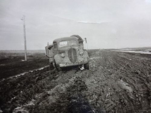 Ford Barrel Nose LKW 77-81 Pickup Bukarest Rumän