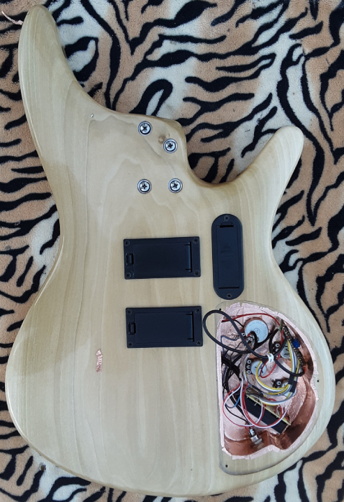 Baritone Guitar, 30