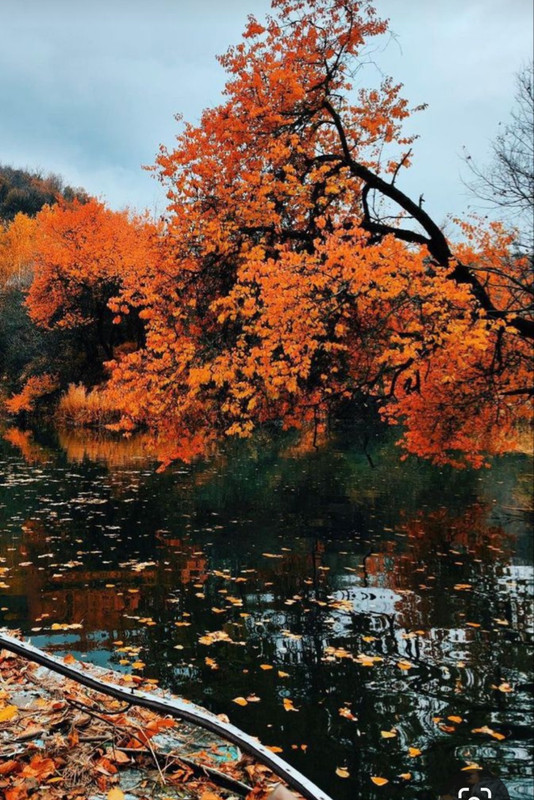 Screenshot_20231117_214154_Pinterest