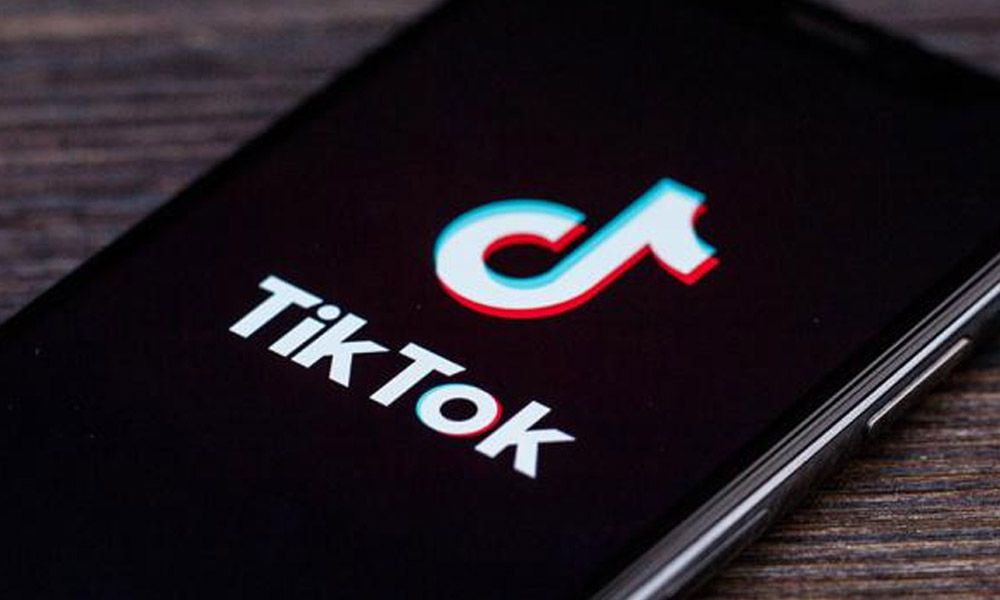 En TikTok, quiere adoptar al ratón que se iba a comer su mascota