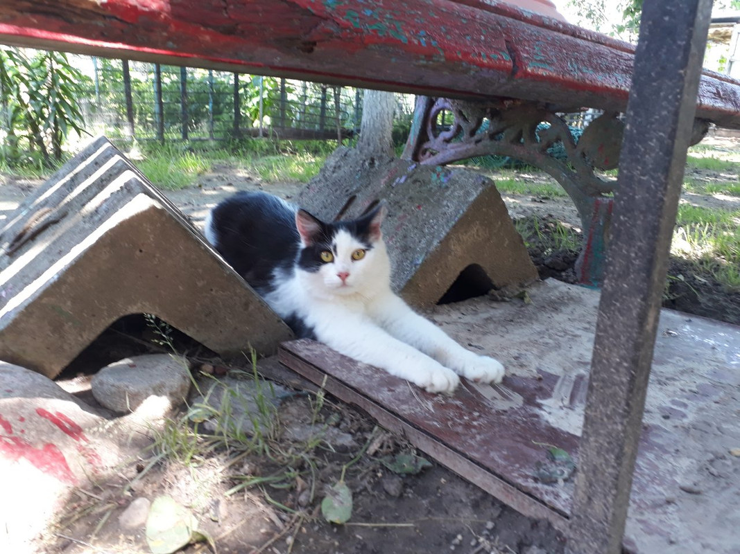 изображение_viber_2019-06-24_14-14-23