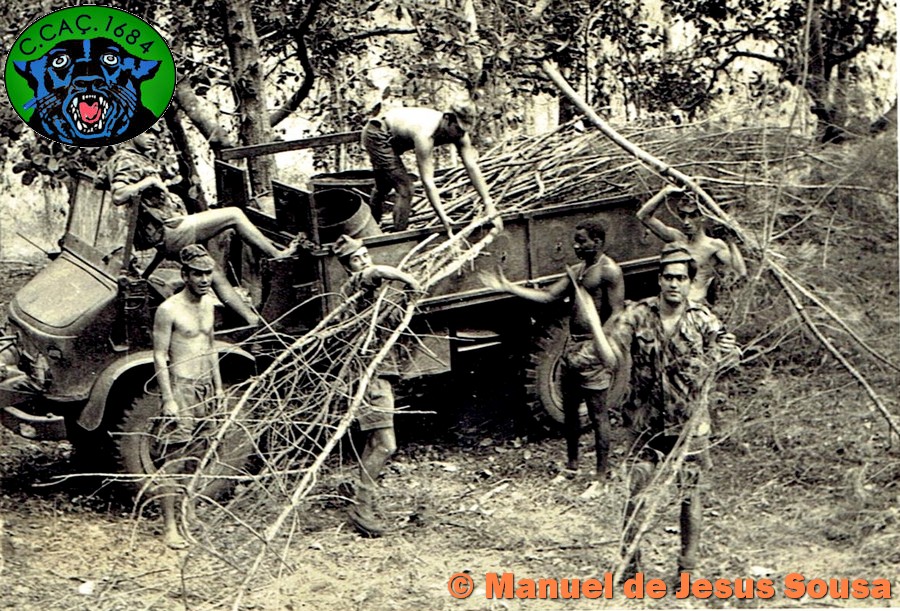 Numa-ida-lenha-para-a-cozinha
