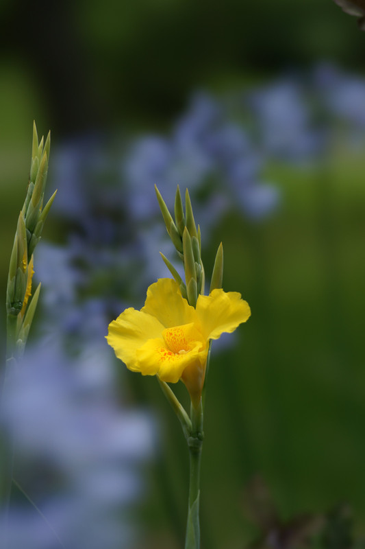 ٢٠٢١٠٦٣٠_٠٢٥٨٥٢