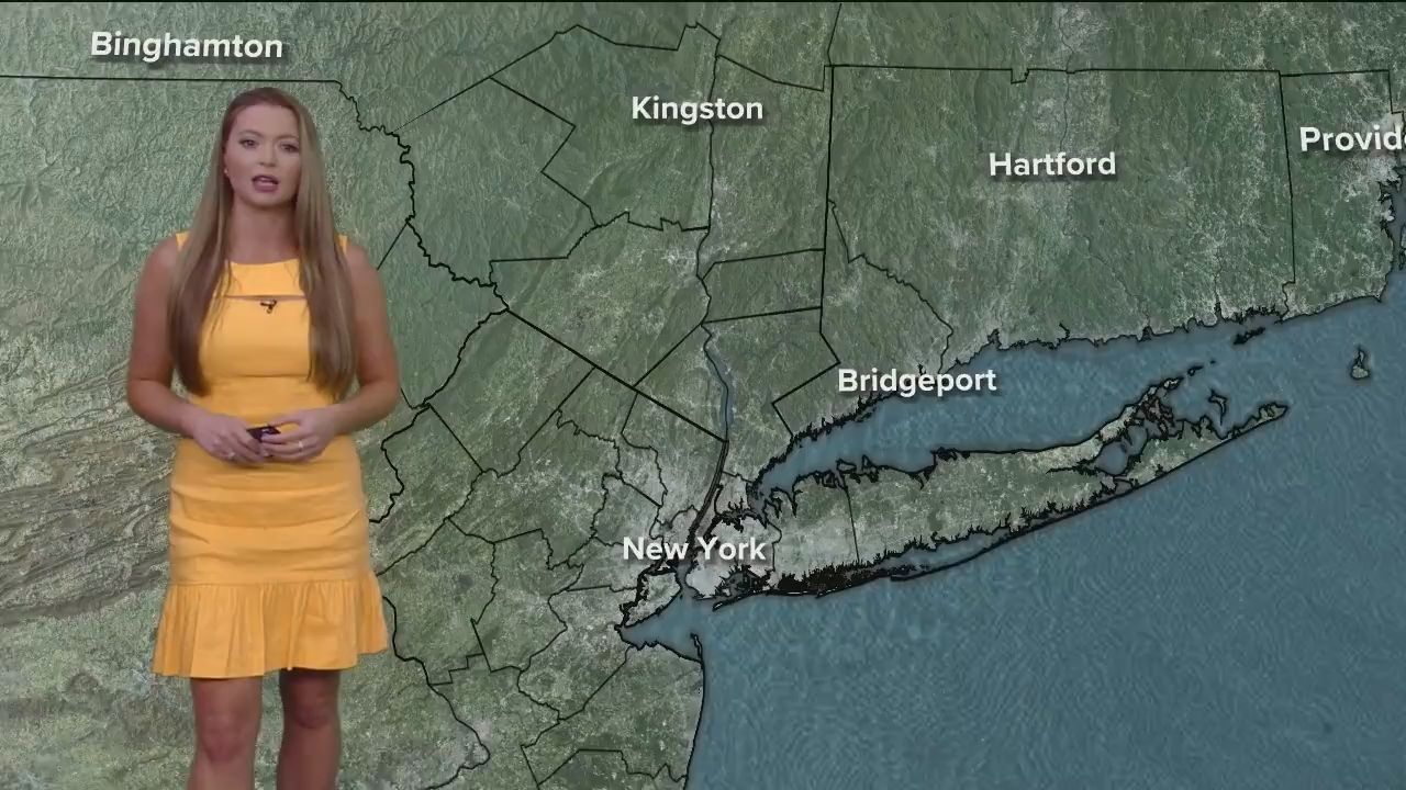 Eyewitness News Mornings at 10_20240603_15001600.ts_snapshot_00.16.47.610