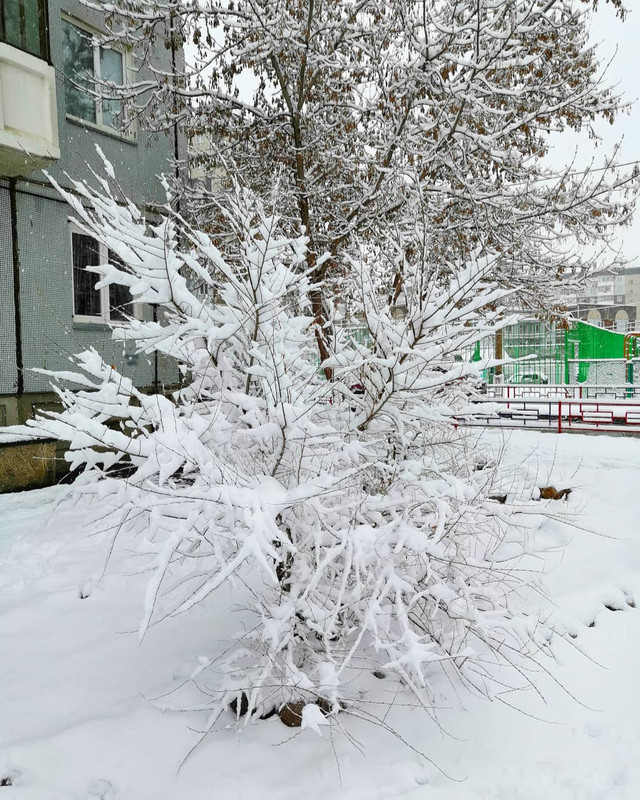 IMG_20190429_104259_861