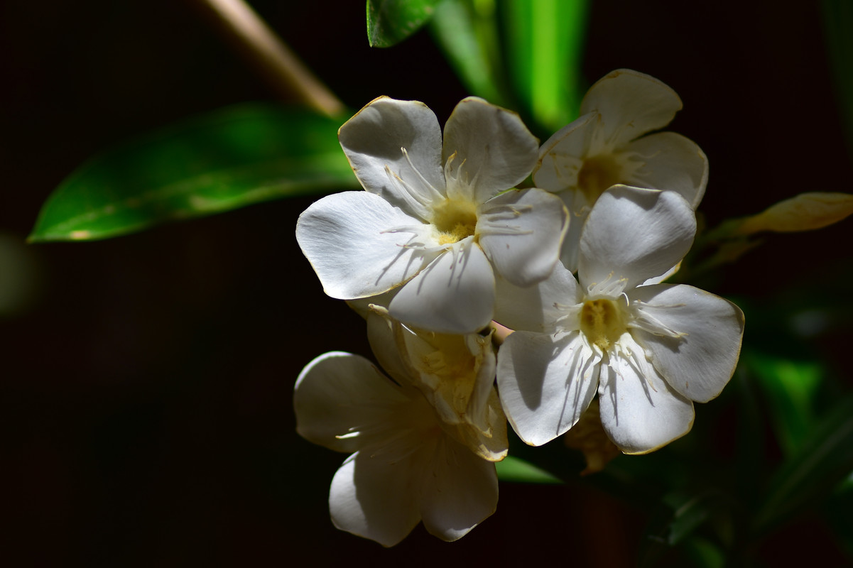 EDCCFF77-611E-40B2-9FBE-6A6EDE9CF6B9