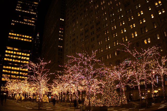 DIA 7: Central Park, Times Square y delicias varias de despedida - DICIEMBRE EN NUEVA YORK, PRE NAVIDAD SOÑADA (11)