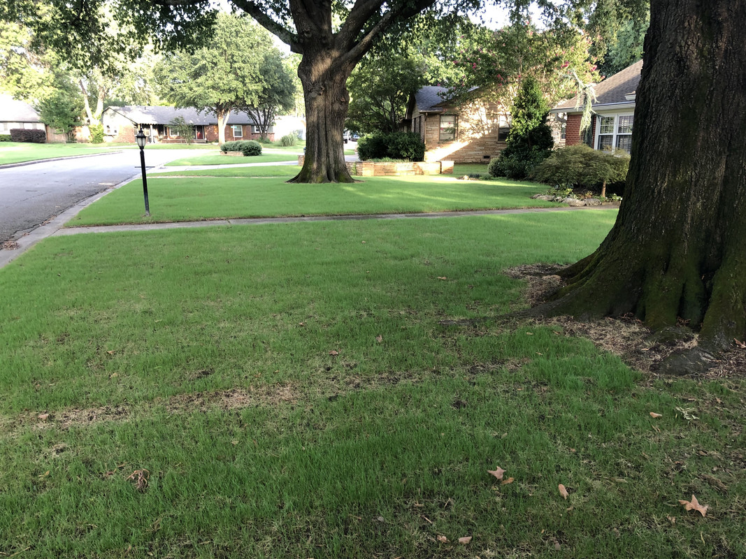 5BB2CBAA-3F09-4185-A09A-A55F150079F6