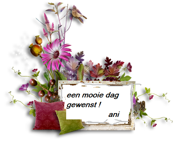 paarse-bloemen-1.png border=