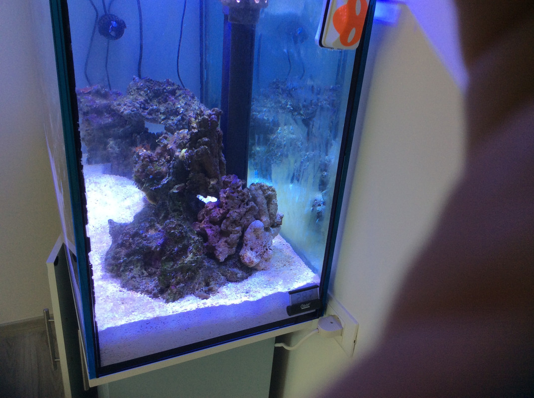 C83CDF7D-949F-41D4-9B16-5317E9BCBCBE