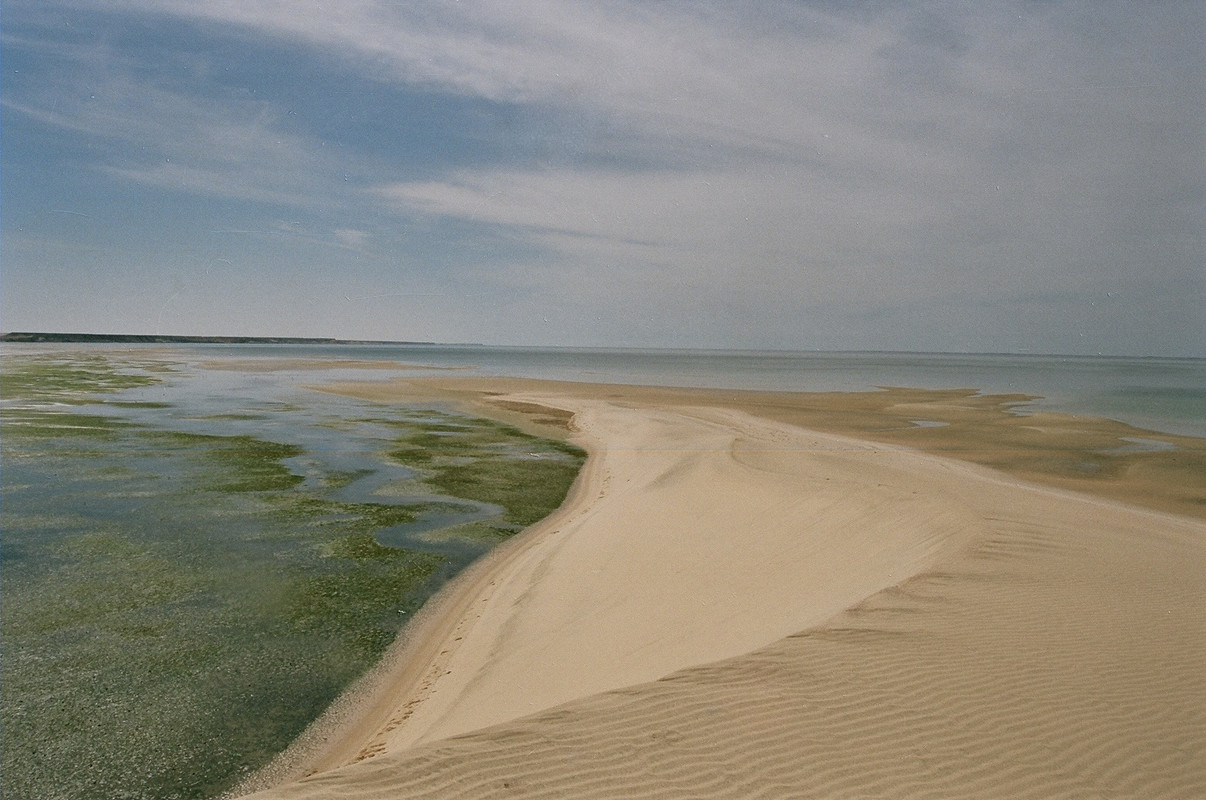 Villa Cisneros (Dakhla) y la Peninsula de Rio de Oro - El Sahara Occidental (99)