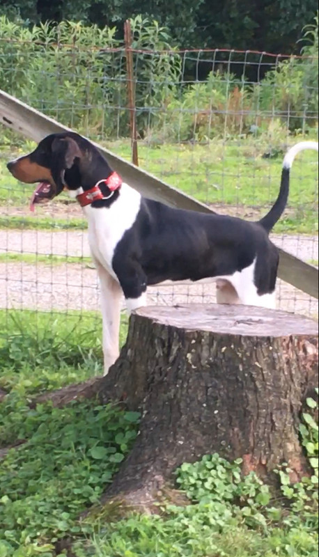 65EC66DA-F0D8-4406-8254-27130527DAFD