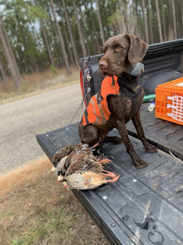 BD437395-28E7-46B9-B565-0873F7F4BFFF