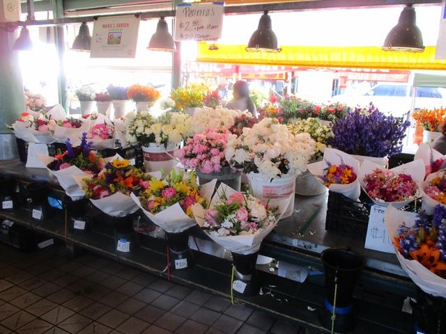 [Image: june-27-004.jpg]