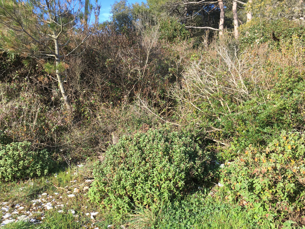 26C42B6C-1A9C-449A-9F7F-51E983D47423