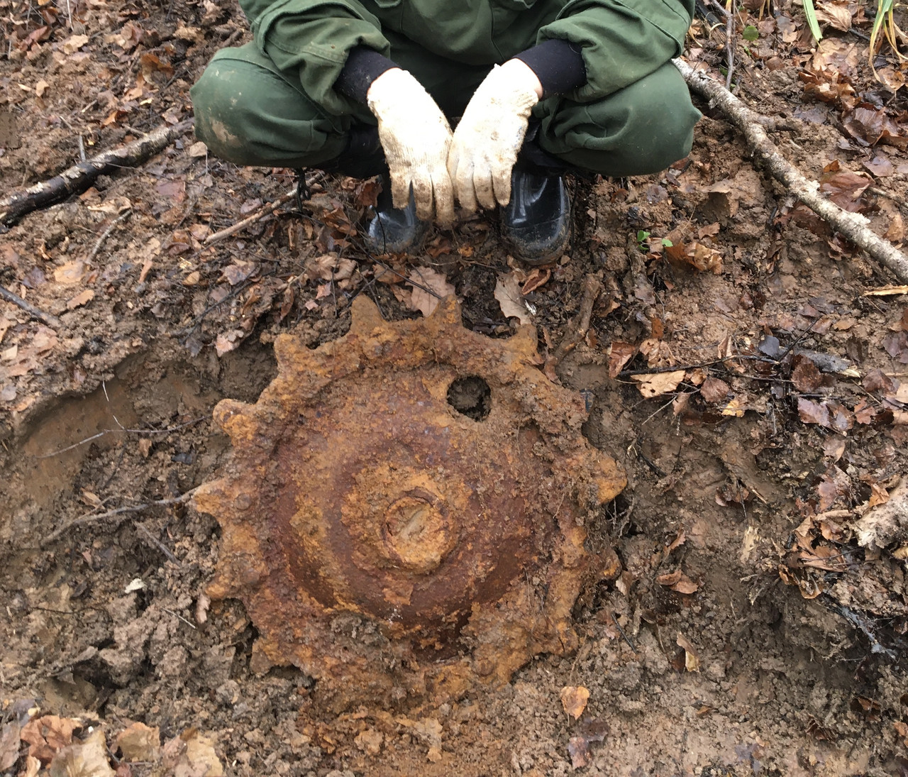 4D8597DB 1C51 4A97 B1BC 99C02D385534