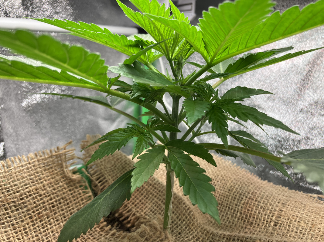 96B5D9D5-DE25-4995-878A-F1CCE23E01EB