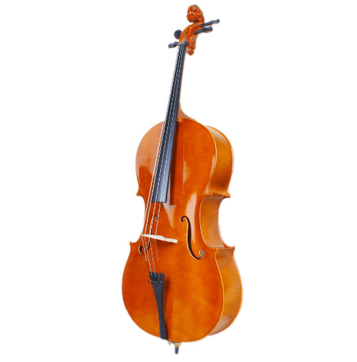 beginner cello