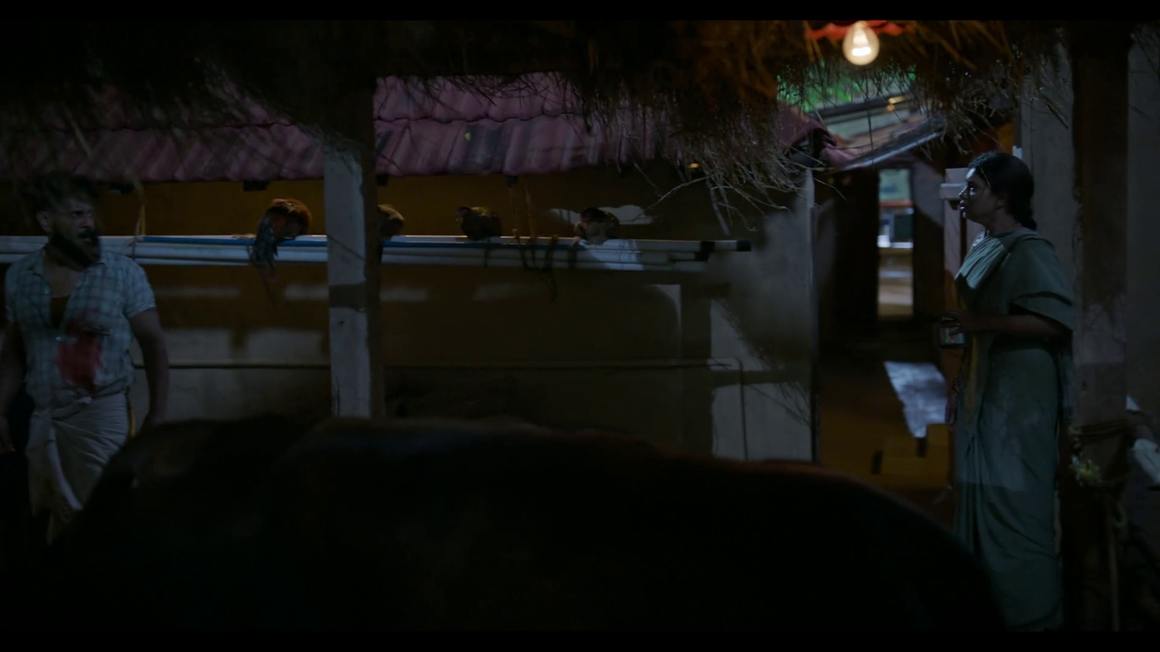 vlcsnap-2025-04-24-21h21m55s310